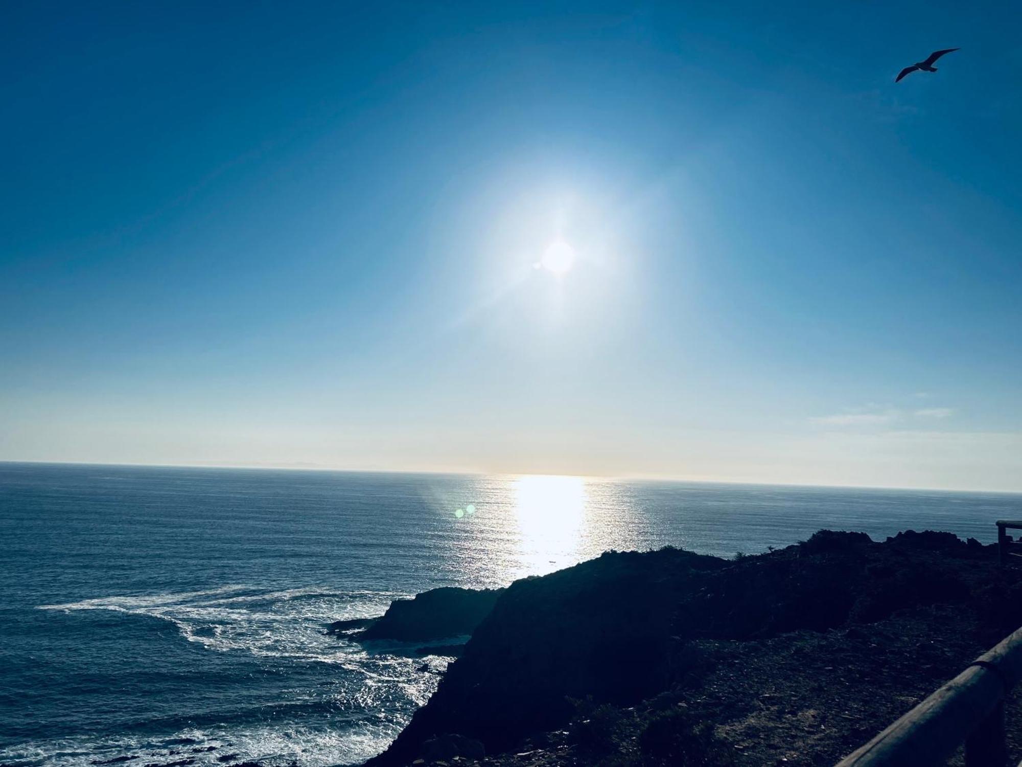 Casa Flora - Vale Da Telha - Nature - Surf & Sun 阿尔热祖尔 外观 照片