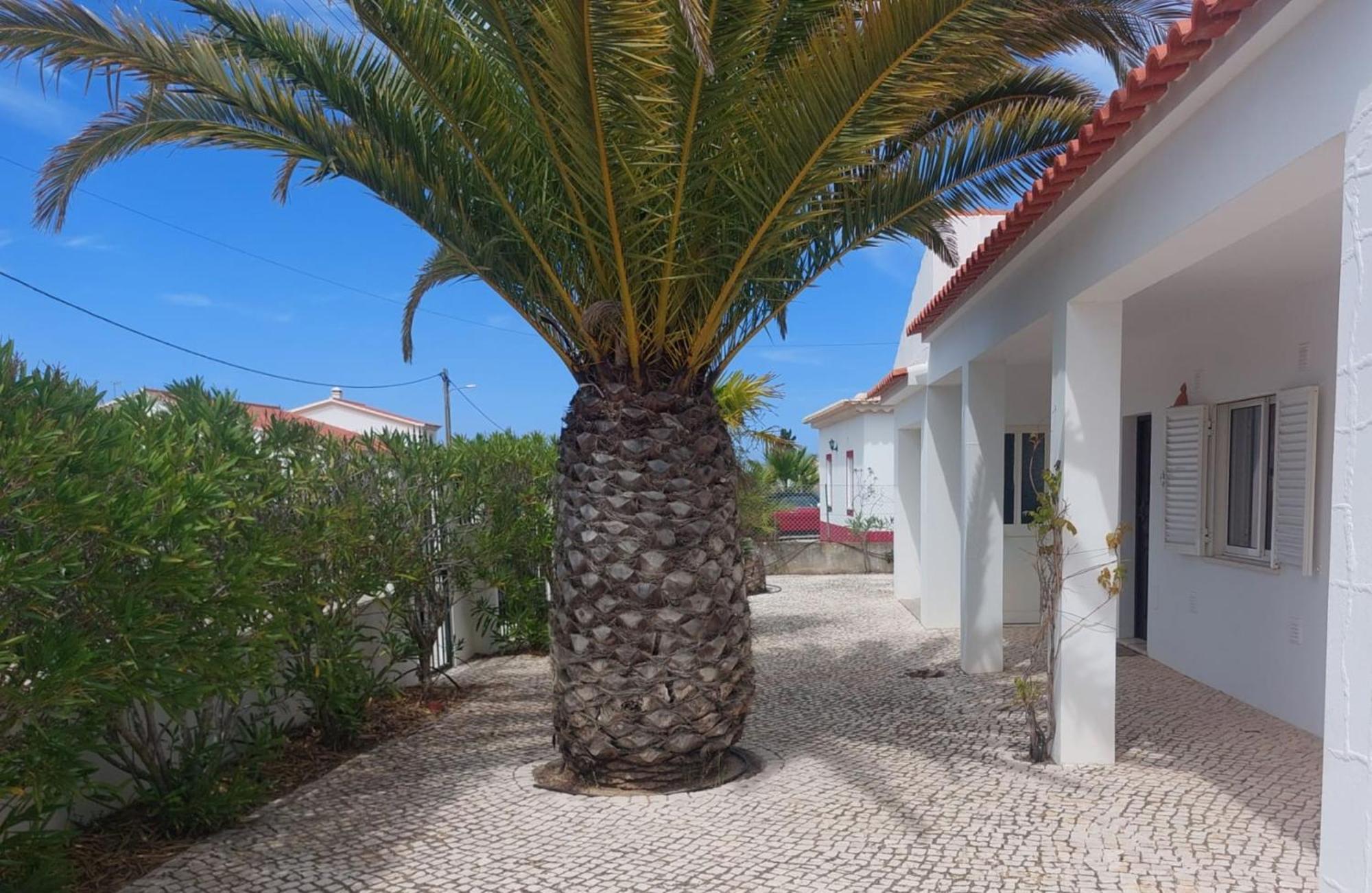 Casa Flora - Vale Da Telha - Nature - Surf & Sun 阿尔热祖尔 外观 照片